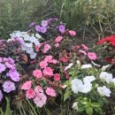 봉무노래연습장 이미지