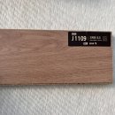 J1109 이미지