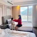(주)나우온플레이닷컴 | 평창 호텔 켄싱턴호텔 강원도 숙소 추천! 커넥팅룸 &amp; 실내풀 수영장 눈썰매장 키즈카페 동물먹이 체험