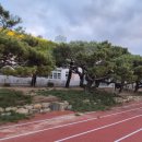 작업97-1 이미지