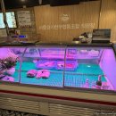 서울경기한우정육프라자 이미지