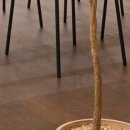 성북미올한방병원 이미지