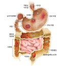 동래새힘한의원 이미지