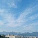 대길상회 이미지