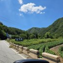 김천 신상 캠핑장 [캠핑요기야] 증산계곡 평상대여 카라반 자세한 후기