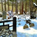 남이섬여행펜션 이미지