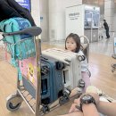 나영어와함께여행간다 | 사이판 여행 제주항공 탑승, 사이판공항 입출국, 한인택시 이용 후기