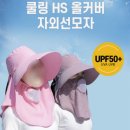 홍스몰