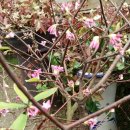 운향농장 이미지