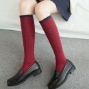 앨리스 핏 이미지