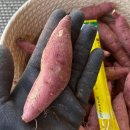 본연농장 이미지