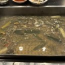 안산 조개찜 맛집 &#34;갯벌팰리스&#34; 해산물 가득 철판조개찜 솔직후기
