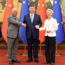 수정글로벌 이미지