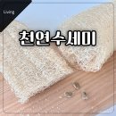 오필리아 | 1년째 쓰는 국산 천연수세미, 지구오필리아 루파수세미 솔직 후기