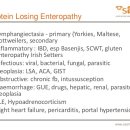 온천천동물병원 이미지