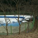 성암목욕탕 이미지