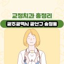 노기표치과의원 | 광주광역시 광산구 송정동 교정치과 총정리