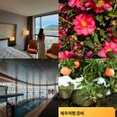 제주도 서귀포 호텔 제주 여행 숙소 설연휴 가볼만한곳 신화월드 메리어트