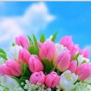 행복한아침 이미지