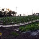 남생이못 습지생태 관찰원 이미지