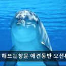 해뜨는창문 애견동반 오션뷰펜션 이미지