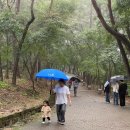 반월루 | [국가유산] 부여 부소산성 반월루 어게인 (25.10.3)