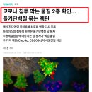 비스코코 | 면역력 관리한 3가지 방법, 약 없이 방향을 바꿨다