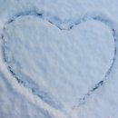 맑고 향기롭게 이미지