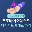 건강플러스약국 | 프로바이오틱스로 다이어트 성공? 혈당 관리까지 잡은 4주 실험 후기 🦠✨