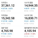 퍼스펙 이미지