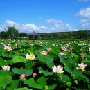 하동못안마을 이미지