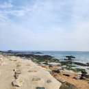 오도1리 이미지