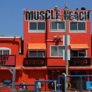 MUSCLE GYM(머슬짐) | 머슬 비치 (Muscle Beach Venice) – LA에서 가장 근육질인 바다
