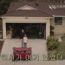 골든레빗 이미지