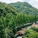 루체펜션 - 화성시 해양공단로100번길 49-1 | 루체펜션