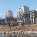 화랑유원지 이미지