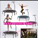 점핑고고 이미지