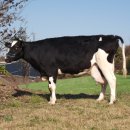 민성목장 이미지