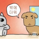 원정양꼬치