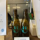 송당퐁당