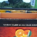 선화농원 Daum카페