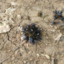 마루주막 이미지