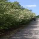 연암근린공원 이미지