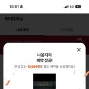 냐옹지마 이미지