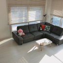 플랜테리어 홈가드닝 이미지