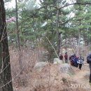 가람약품 이미지