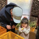 야망농장 이미지