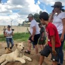 금지농장 이미지