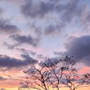 봉성노을담 이미지