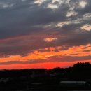 여주-0929 이미지